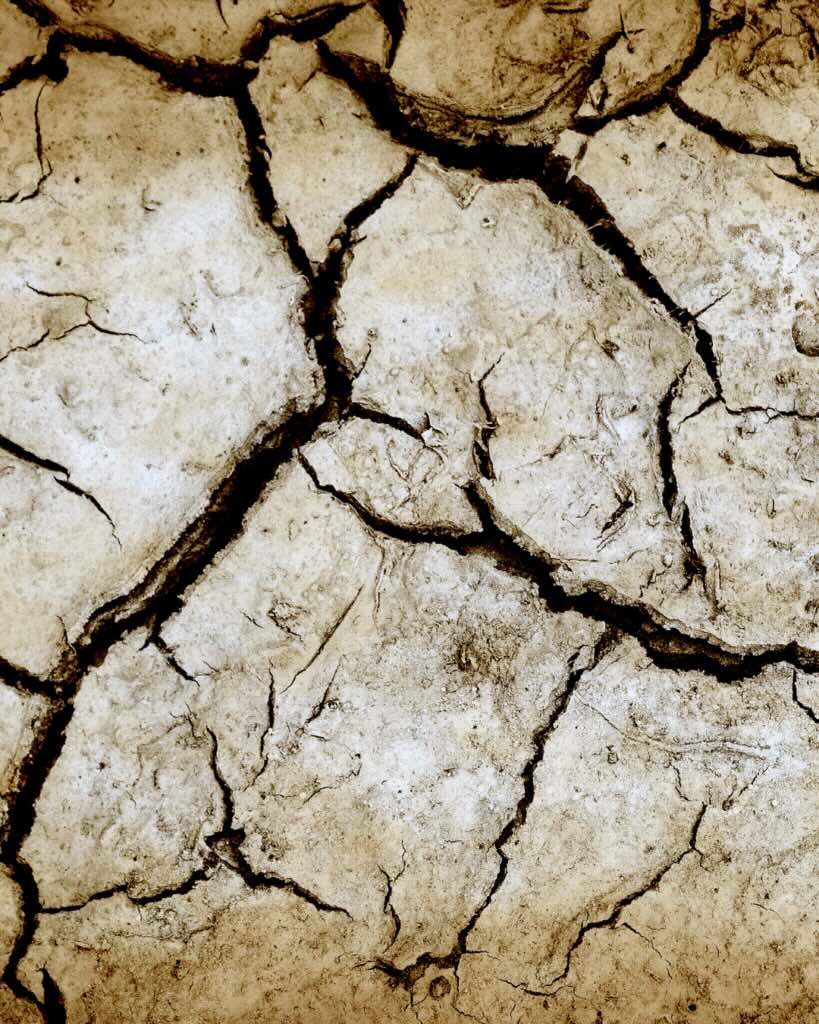 earth psychedelic assisted therapy