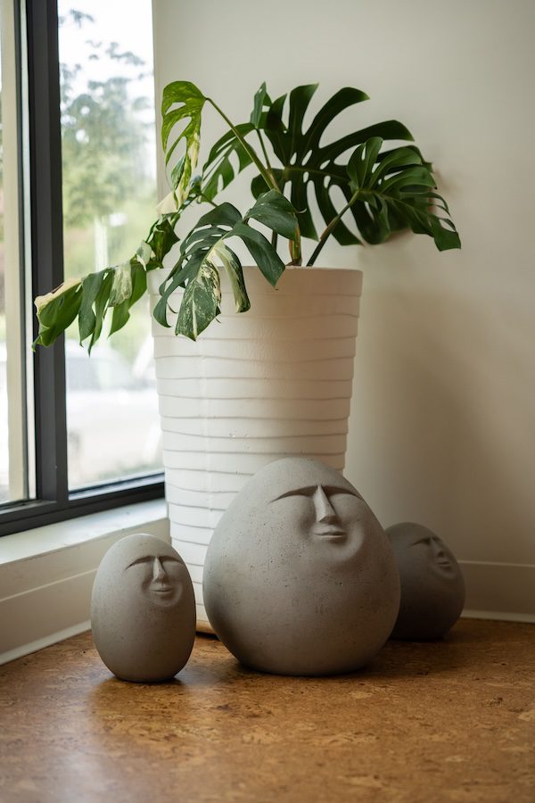 plants at the kelowna ketamine clinic